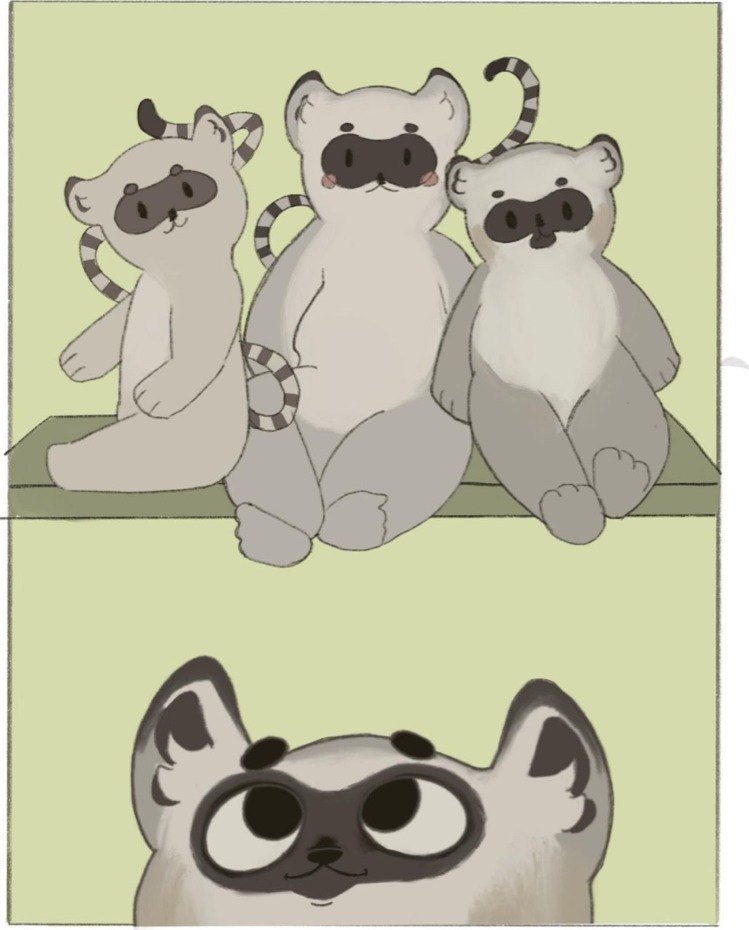 Three of Nemur's lemur dollies sitting in a row on a shelf, with Nemur looking up at them from below.